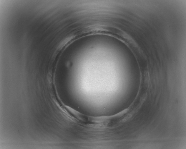 X0000062890785200601131333