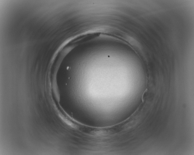 X0000062890792200601131333