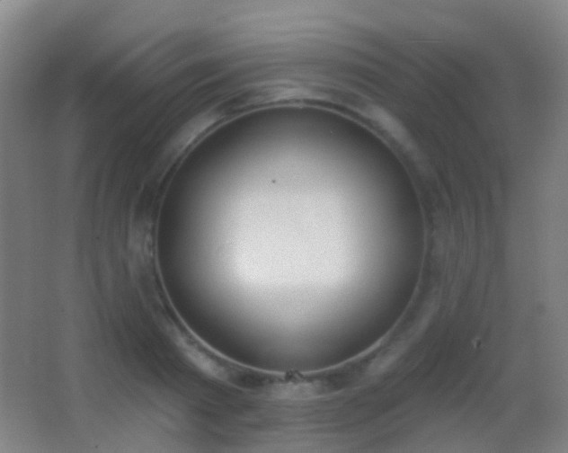 X0000062890793200601131333