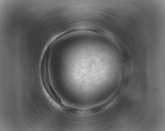 X0000062890795200601131333