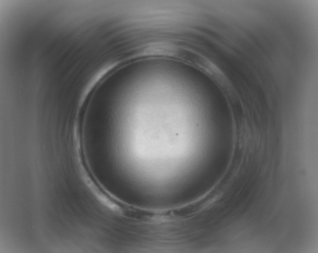 X0000062890796200601131333