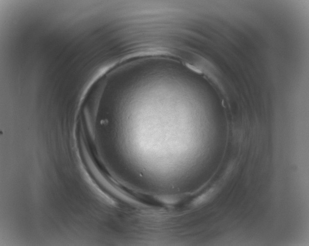 X0000062890797200601131333