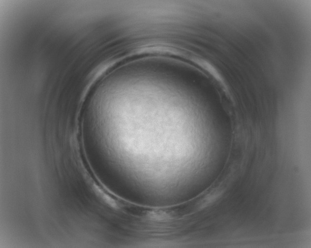 X0000062890799200601131333