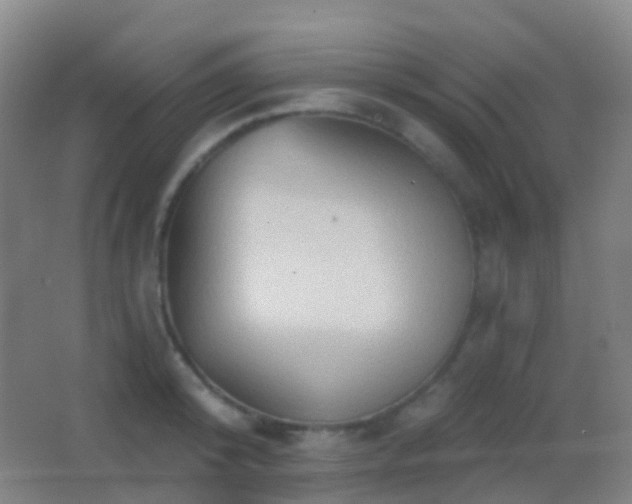 X0000062890800200601131333