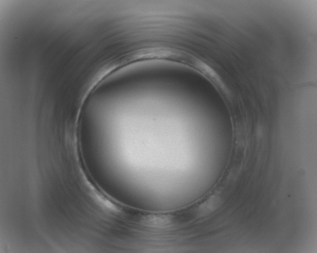 X0000062890802200601131333