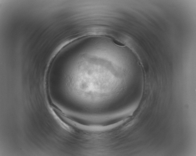 X0000062890803200601131333