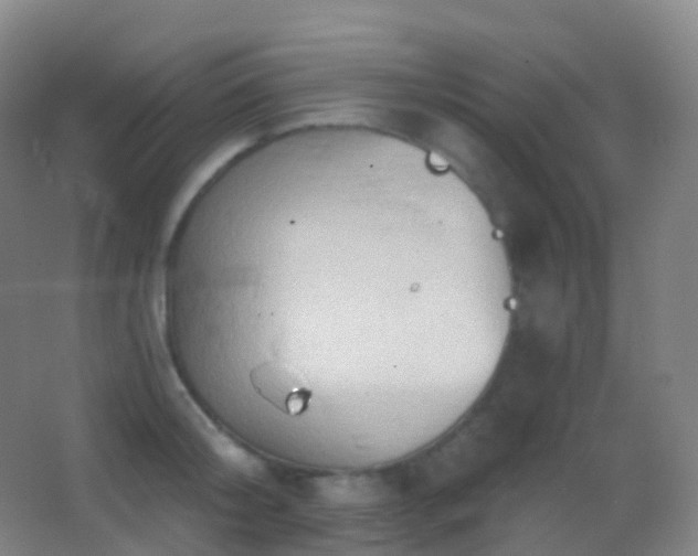 X0000062890804200601131333