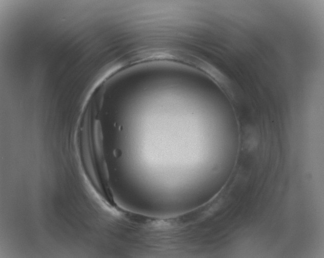 X0000062890806200601131333