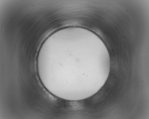 X0000062890807200601131333