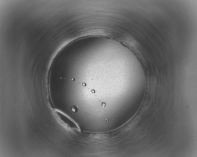 X0000062890808200601131333