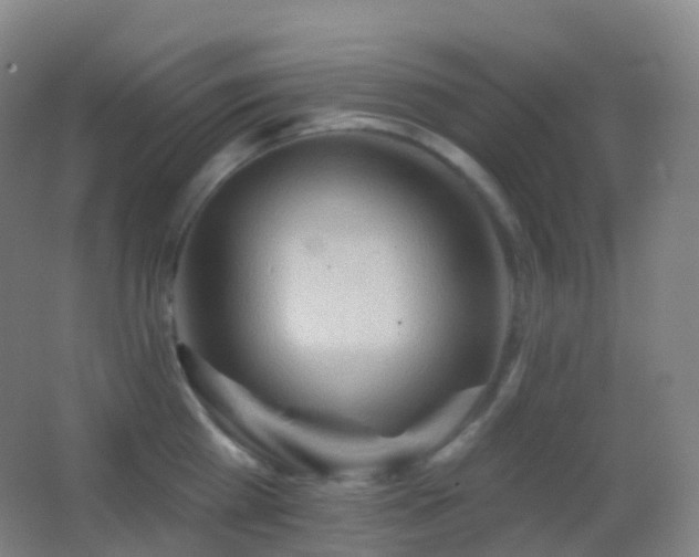 X0000062890809200601131333