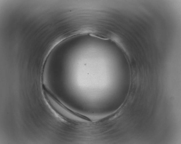 X0000062890810200601131333