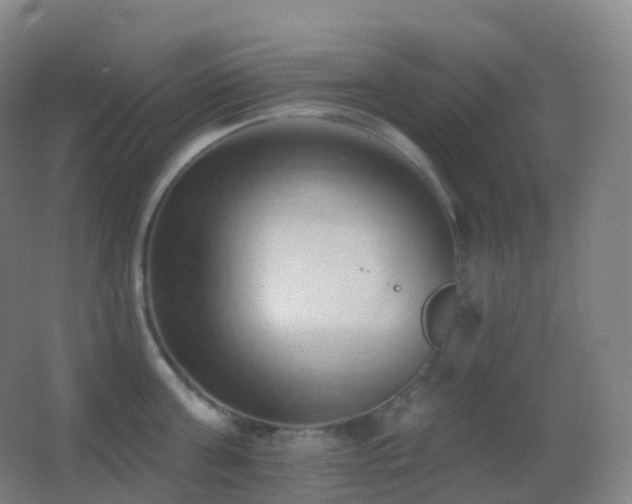 X0000062890811200601131333