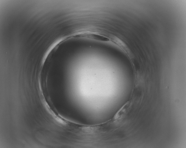 X0000062890812200601131333