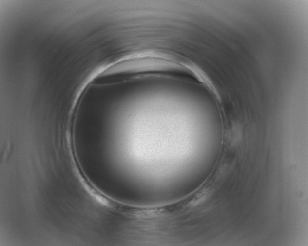 X0000062890813200601131333