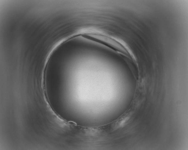 X0000062890815200601131333