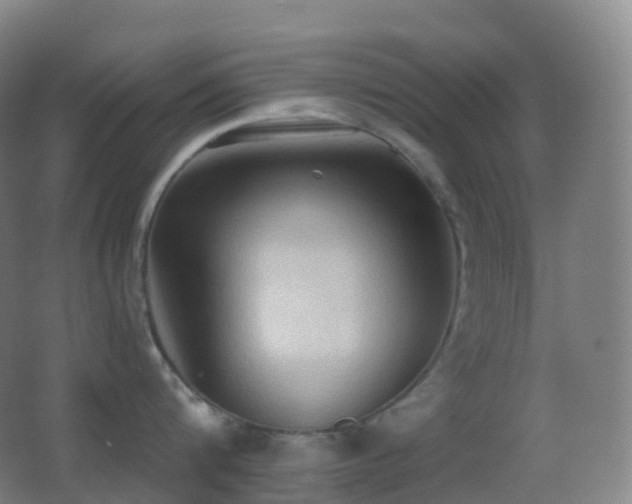 X0000062890816200601131333