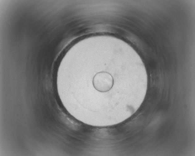 X0000062890828200601131332