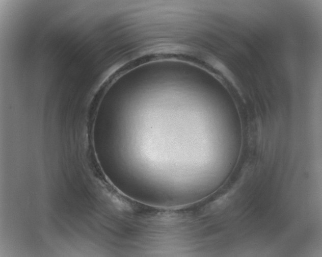 X0000062890829200601131332