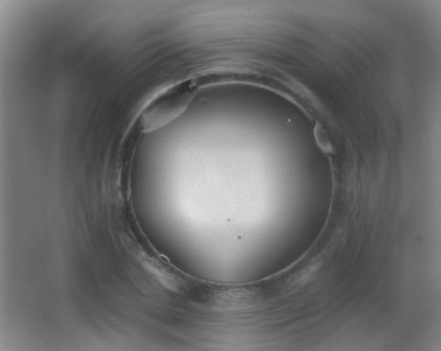 X0000062890830200601131332