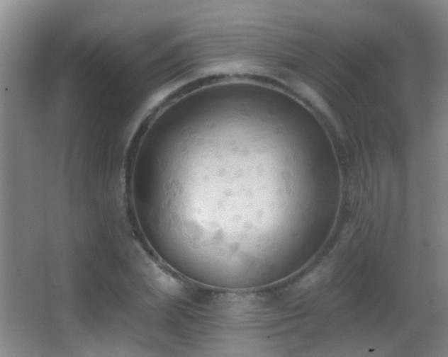 X0000062890831200601131332