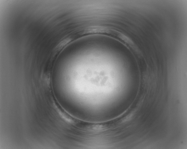 X0000062890841200601131332