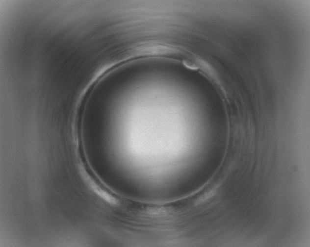 X0000062890843200601131332