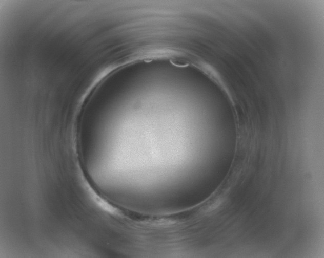 X0000062890851200601131332