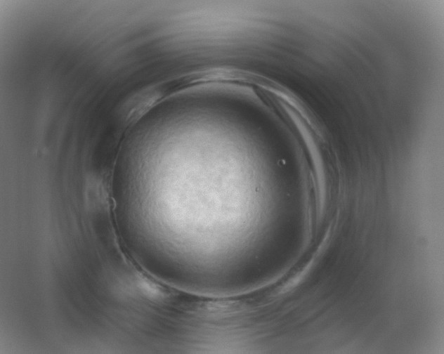 X0000062890857200601131332