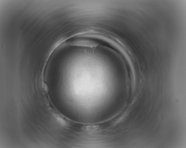 X0000062890858200601131333