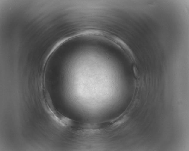 X0000062890860200601131333