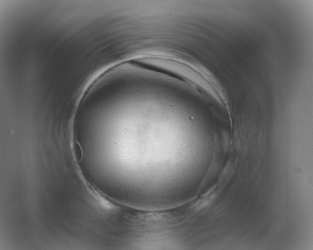 X0000062890862200601131333