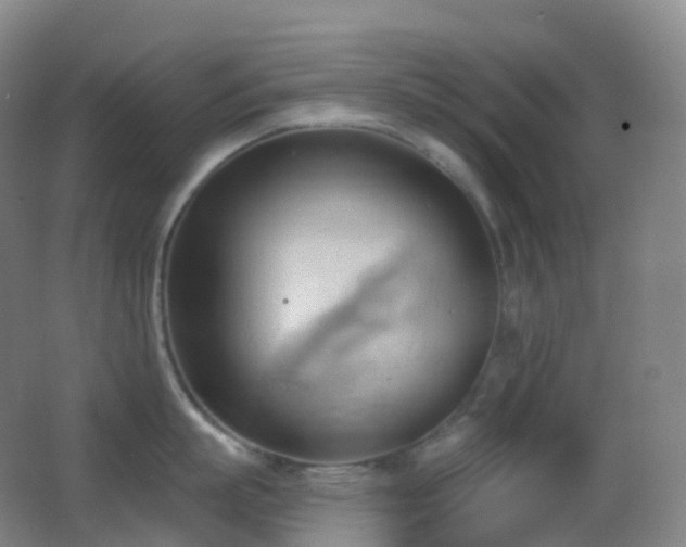 X0000062890863200601131333