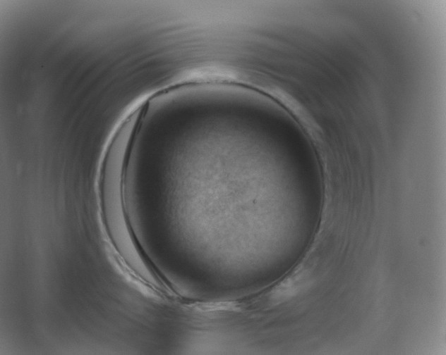 X0000062890864200601131333