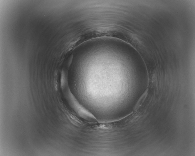 X0000062890868200601131332