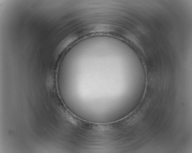 X0000062890874200601131332