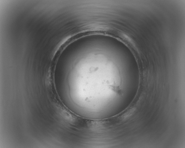 X0000062890875200601131332