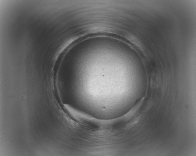 X0000062890877200601131332