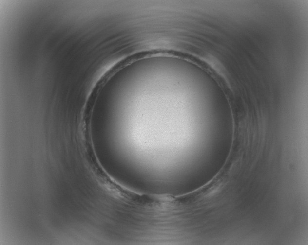 X0000062890879200601131332