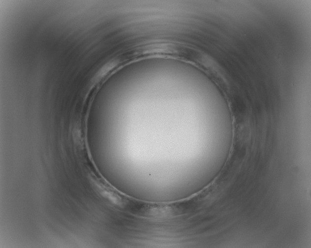 X0000062890882200601131332