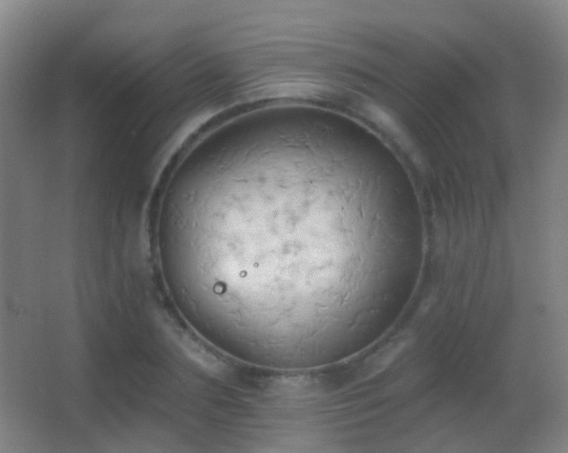 X0000062890883200601131332