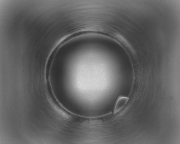 X0000062890884200601131331