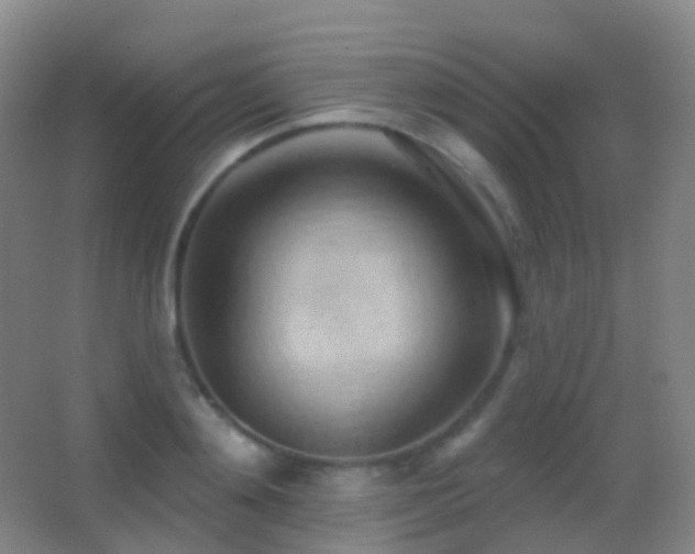 X0000062890892200601131331