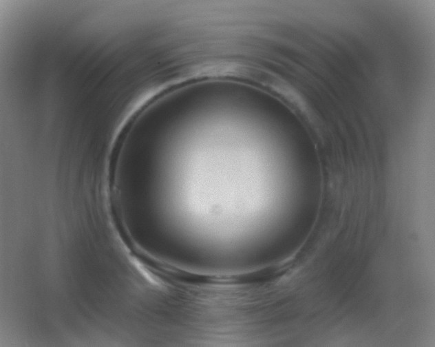 X0000062890894200601131331
