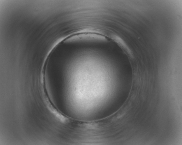 X0000062890900200601131331