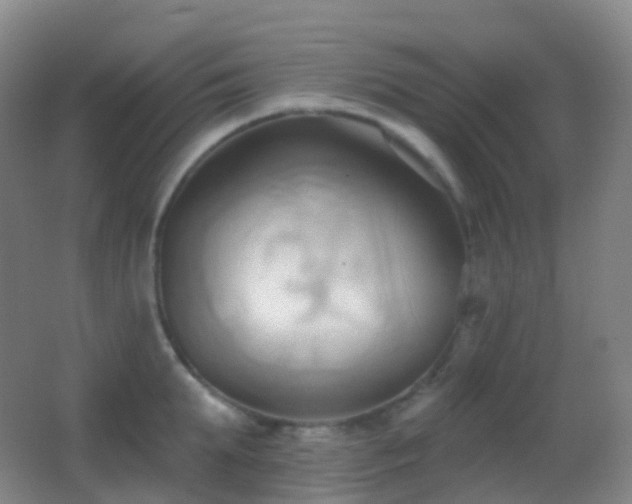 X0000062890903200601131331