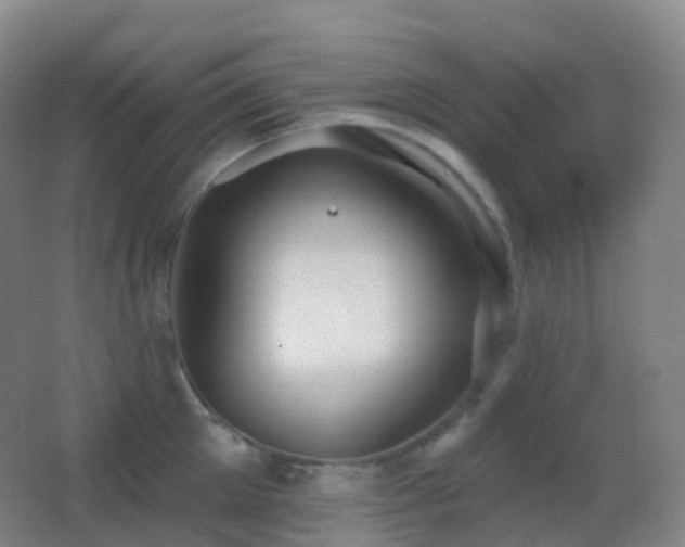 X0000062890905200601131331