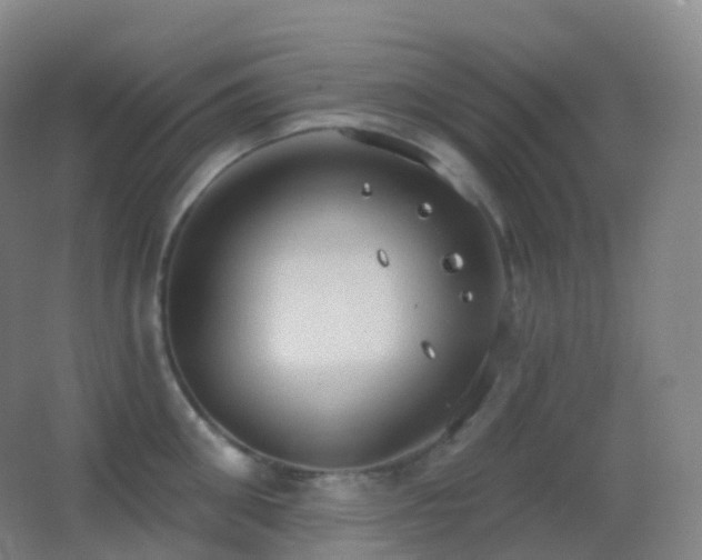 X0000062890906200601131331