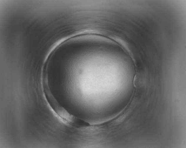 X0000062890910200601131331