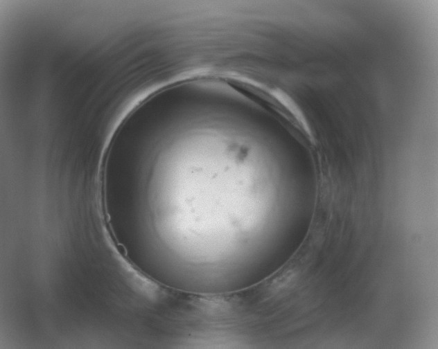 X0000062890911200601131331